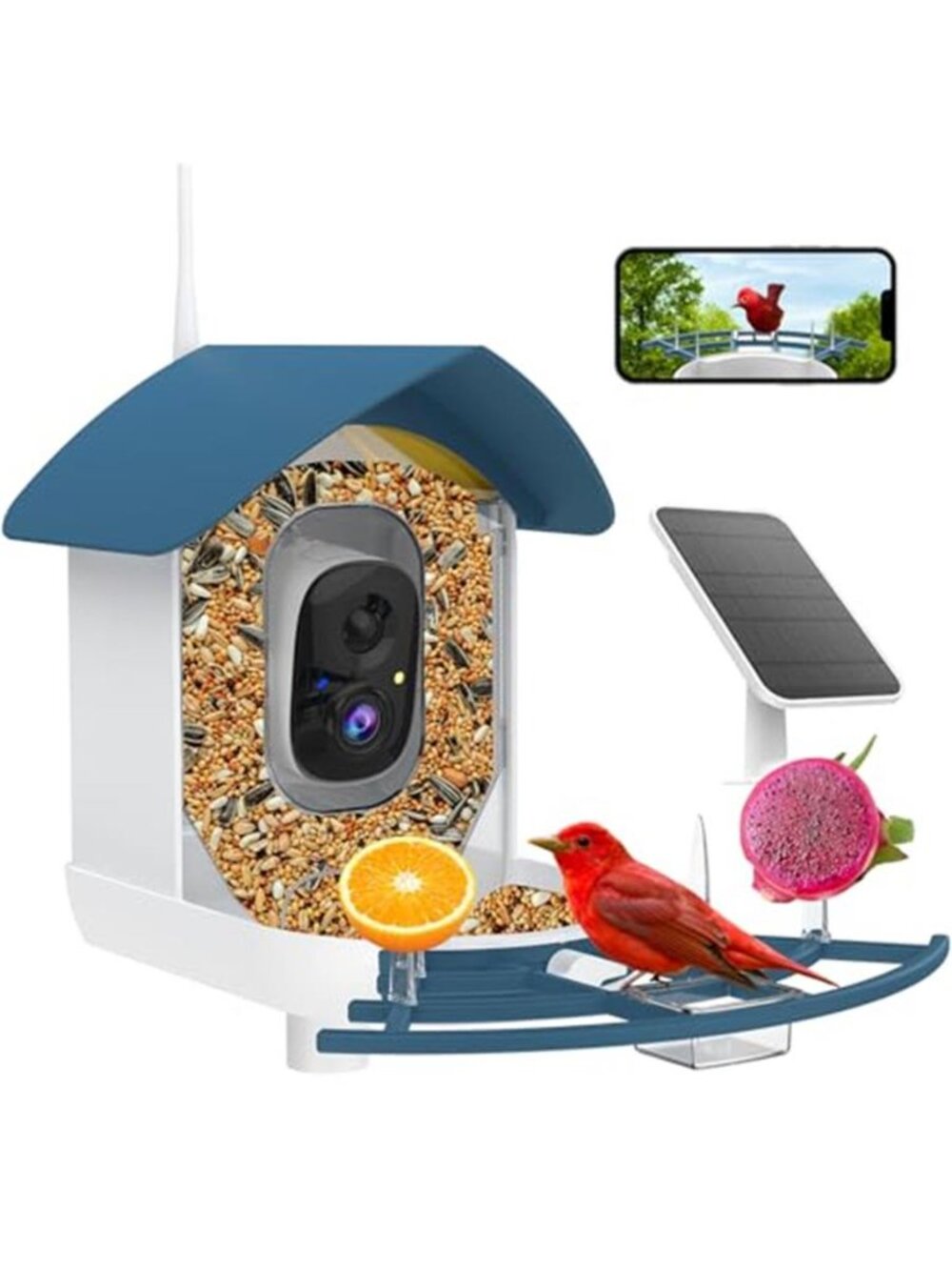Bird Feeder with Camera,AI Identify Birds Species,Smart Bird Camera with Solar